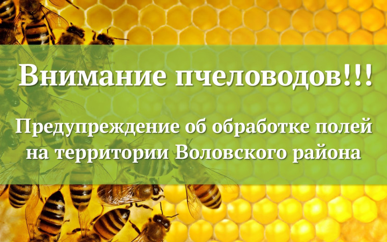 Внимание пчеловодов! Предупреждение о химической обработке производственных полей с 29 апреля по 9 мая 2025 года.