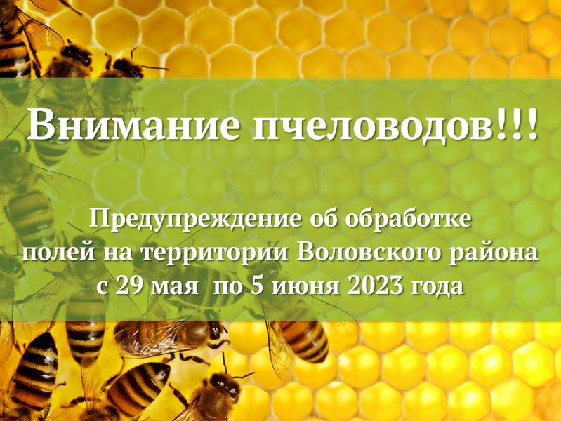Внимание пчеловодов! Предупреждение о химической обработке производственных полей с 22 по 29 апреля 2025 года.