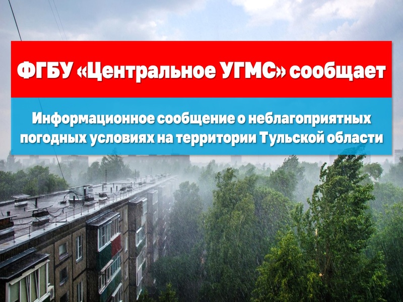 По информации ФГБУ «Центрального УГМС» в ближайшие 1-3 часа 07 августа с сохранением до утра 08 августа на территории Тульской области ожидаются кратковременные дожди, местами сильные, местами гроза, при грозе усиление ветра порывами 10-15 м/с.