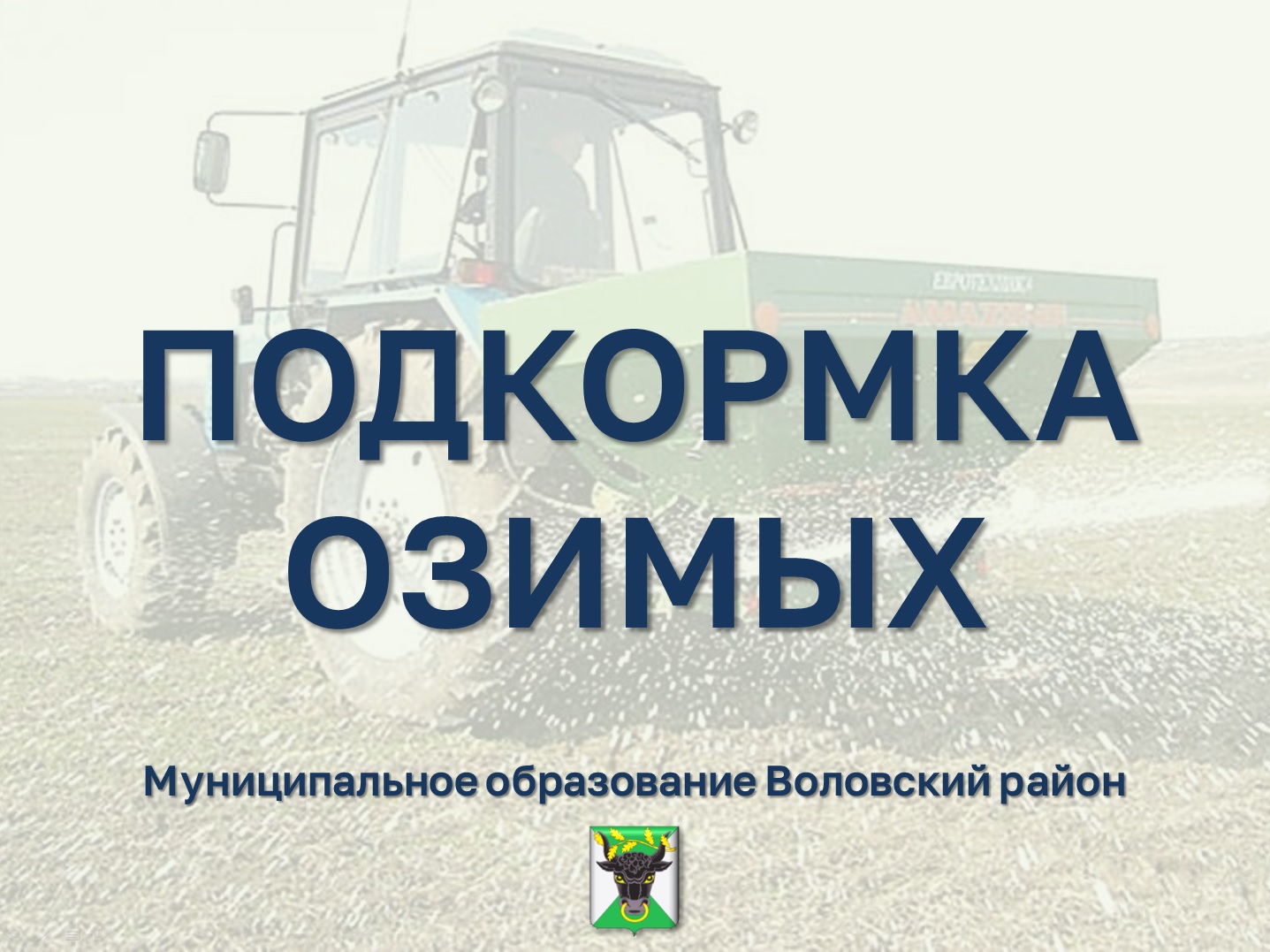 Оперативная сводка на 31.03.2025 г. ПОДКОРМКА ОЗИМЫХ.