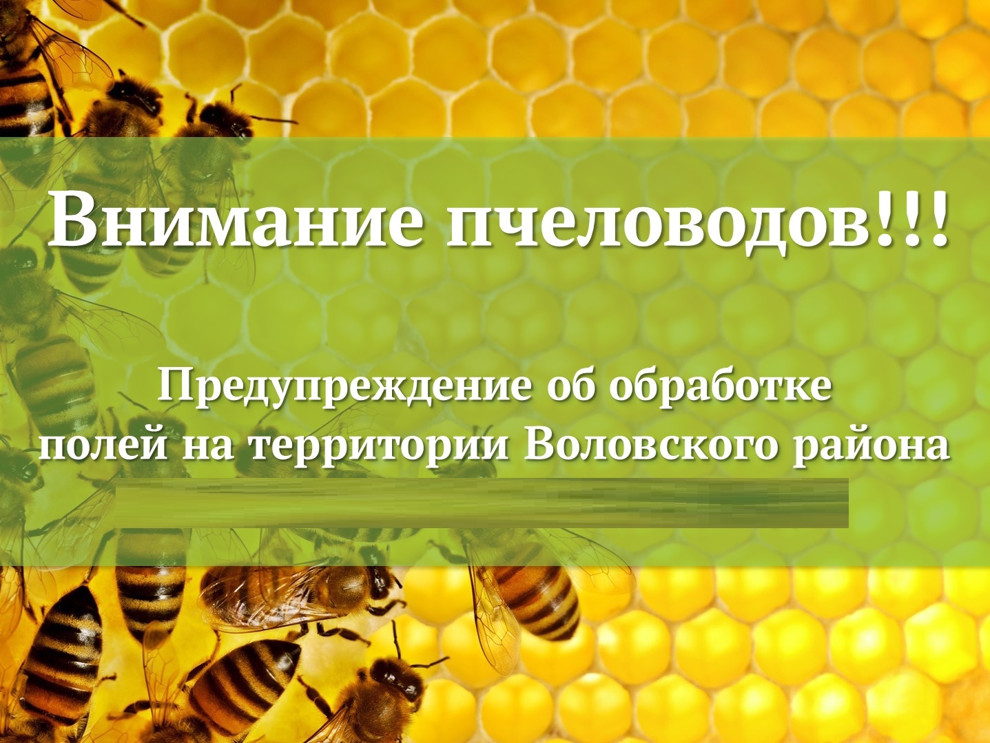 Внимание пчеловодов! Предупреждение о химической обработке производственных полей с 15 по 28 мая 2025 года.