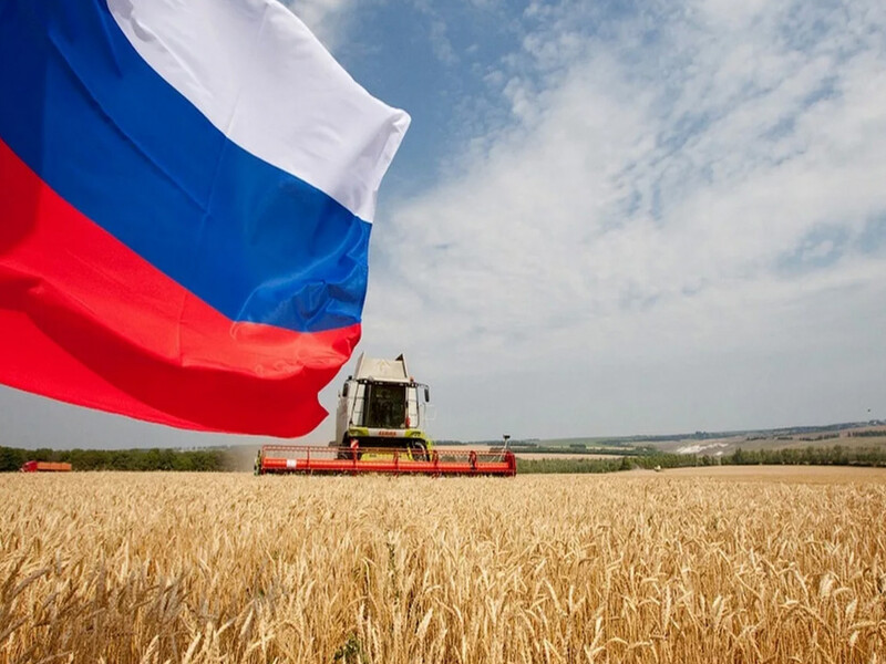 ОПЕРАТИВНАЯ СВОДКА о ходе полевых работ в сельхозпредприятиях, К(Ф)Х, ИП Воловского района  на 29.04.2025 г..