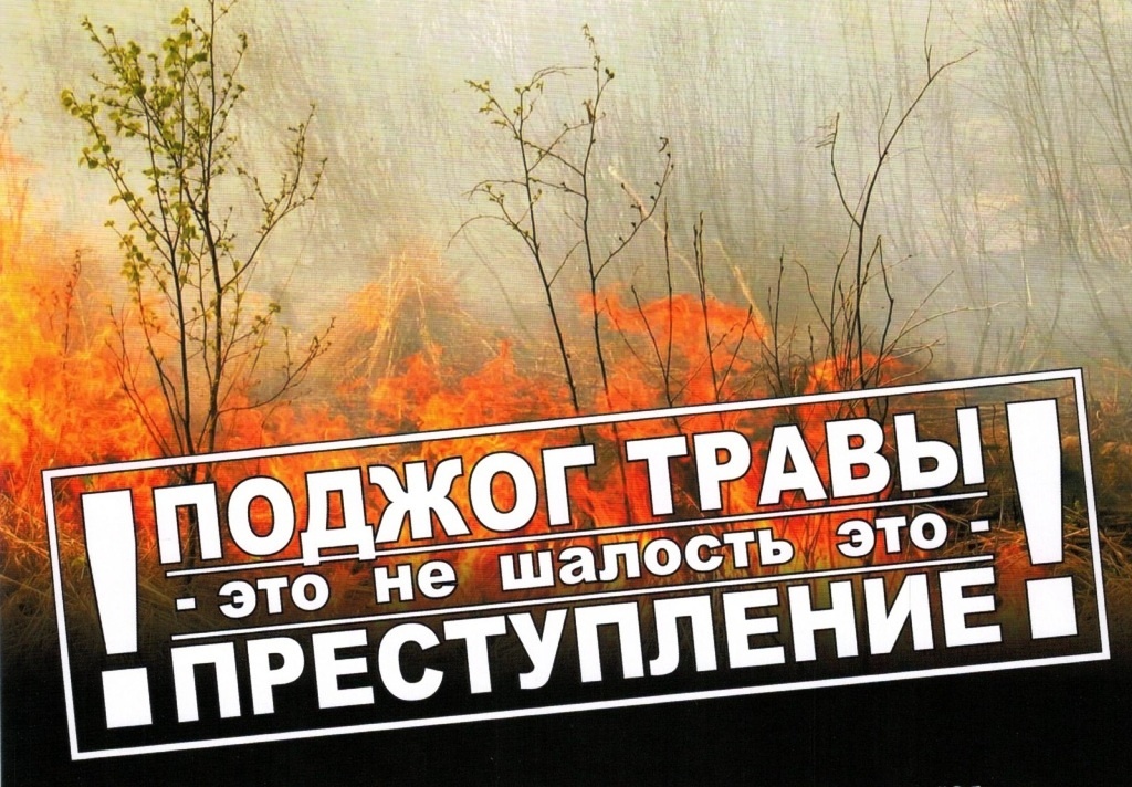 Правила пожарной безопасности во время пала сухой травы.