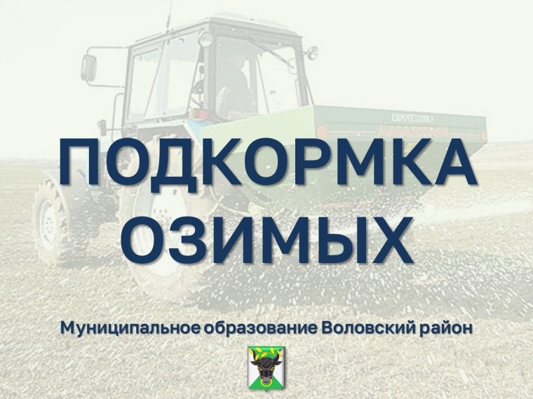 Оперативная сводка на 31.03.2025 г. ПОДКОРМКА ОЗИМЫХ. Оперативная сводка на 31.03.2025 г. ПОДКОРМКА ОЗИМЫХ.